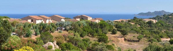 Una zona residencial costera con casas y abundante vegetación.
