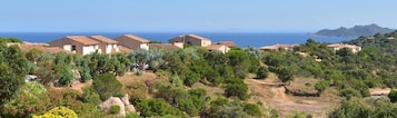A coastal residential area with houses and lush greenery.
