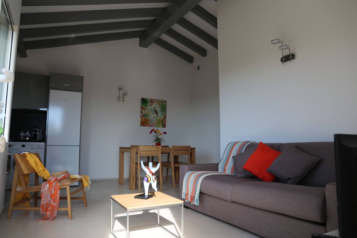 A compact living space with a sofa, a small table, a chair, a dining table, and a kitchen area.