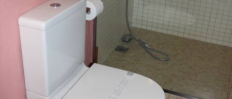 Une salle de bain avec des toilettes, une douche et un mur carrelé.