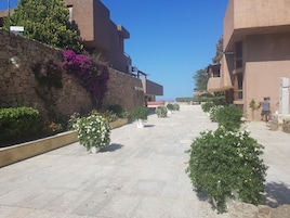 Un sendero pavimentado bordeado por muros de piedra y plantas en macetas, que conduce a un edificio con fachada de piedra y un cielo azul despejado.