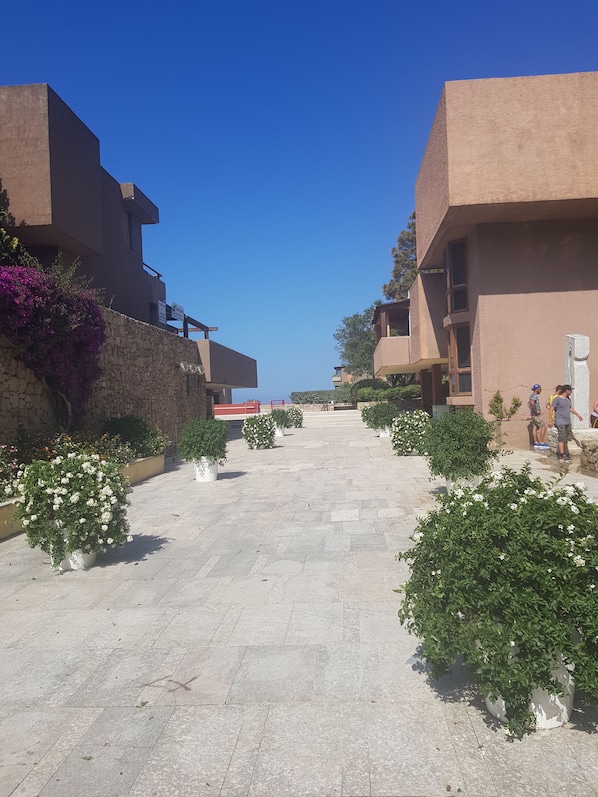 Un chemin bordé de bâtiments aux murs de pierre et de plantes en pot.