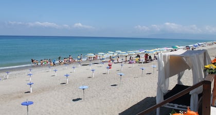 Hotel South Paradise