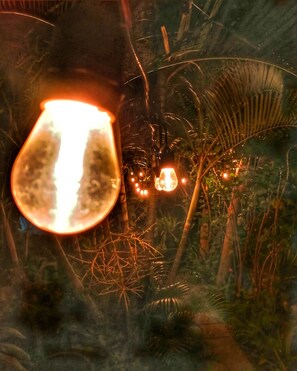 Une pièce faiblement éclairée, avec un grand objet de verre illuminé au premier plan, entouré d’un feuillage et de plantes denses.