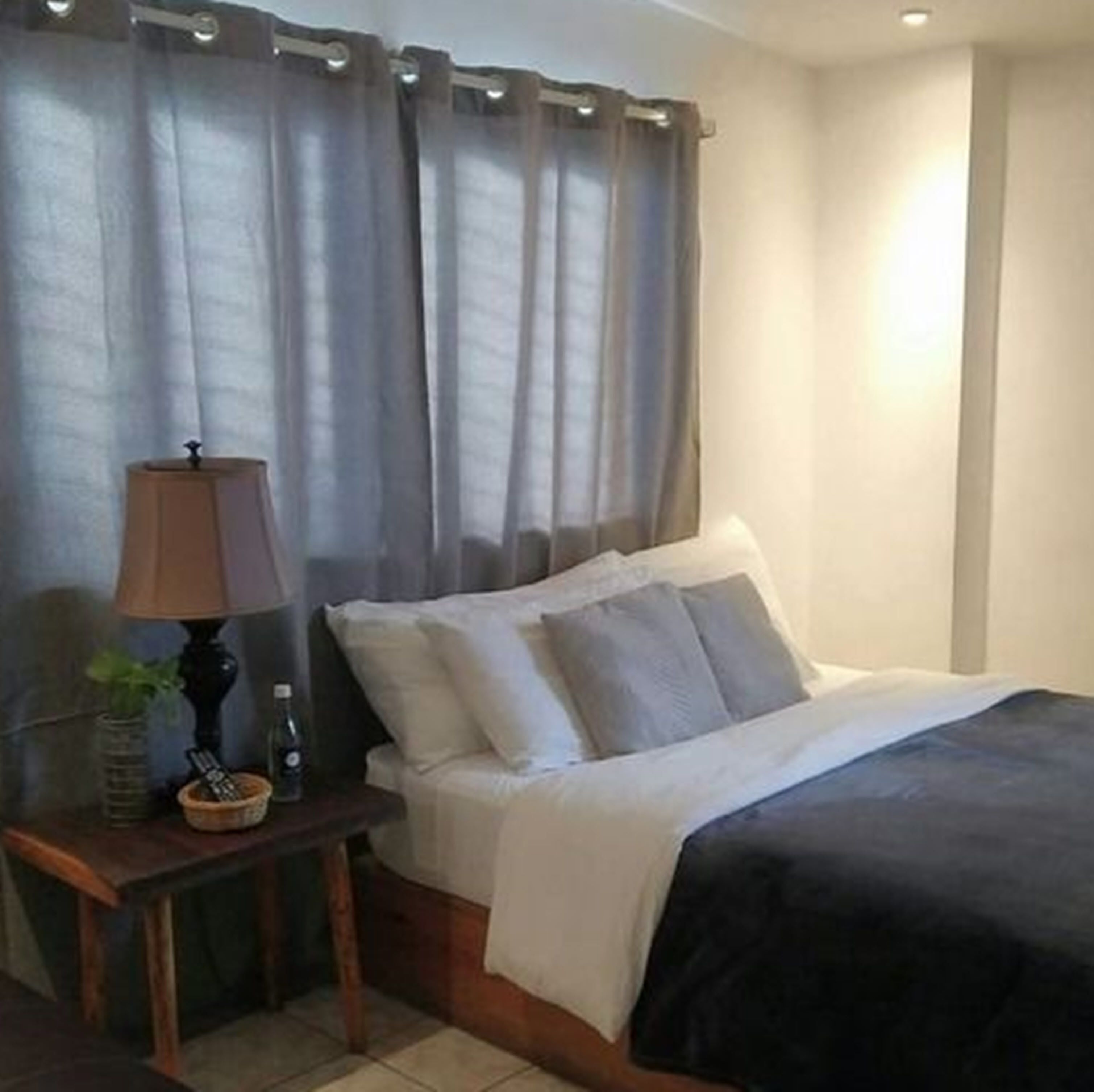 A bedroom with a bed, curtains, a bedside table with a lamp, and a small plant.
