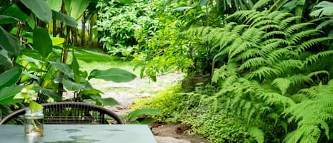 Dobbeltrom – deluxe, 1 queensize-seng, ikke-røyk, eget bad (Blanca) | Terrasse/patio