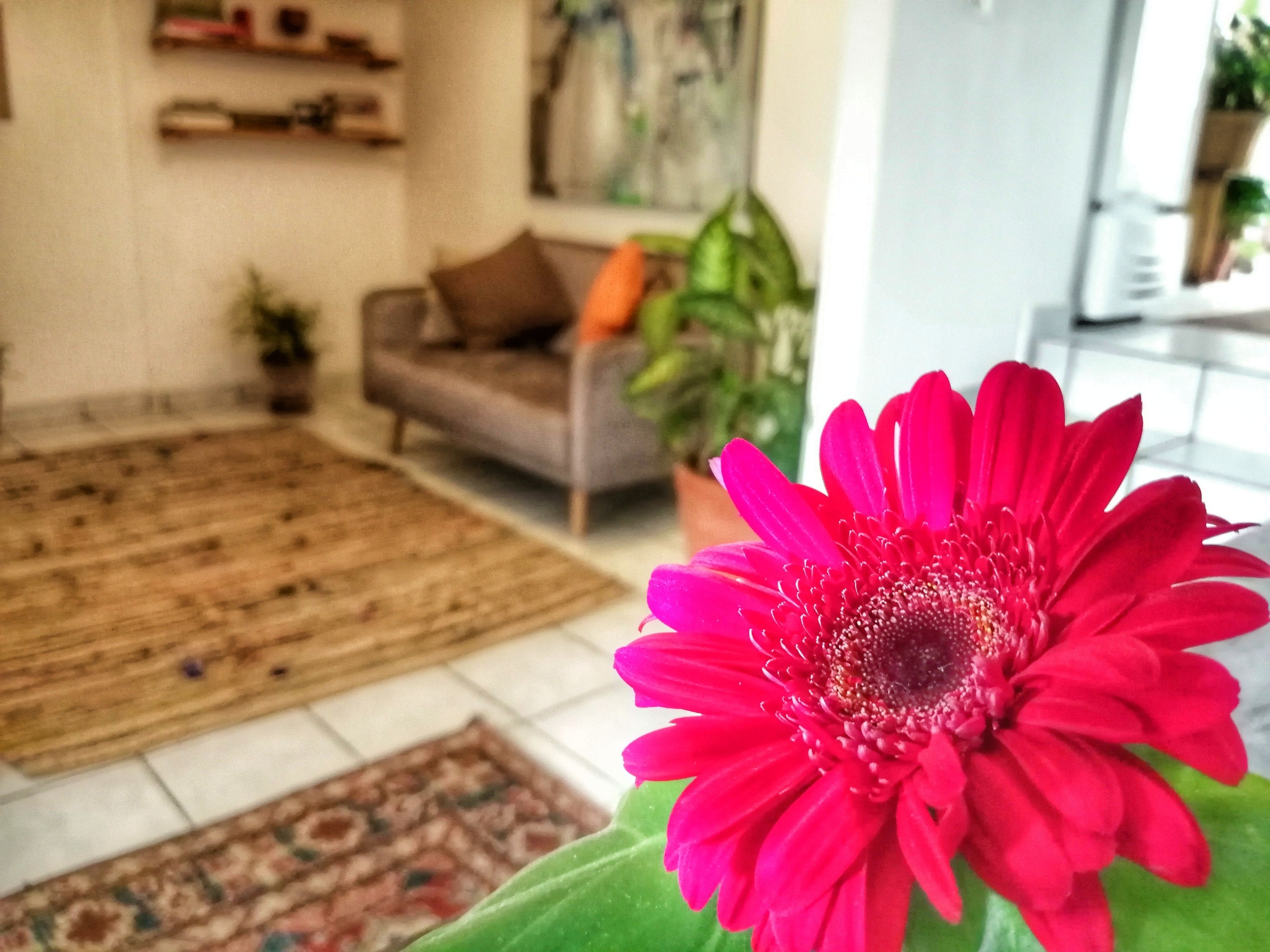 Foto - Cinco Hotel B&B