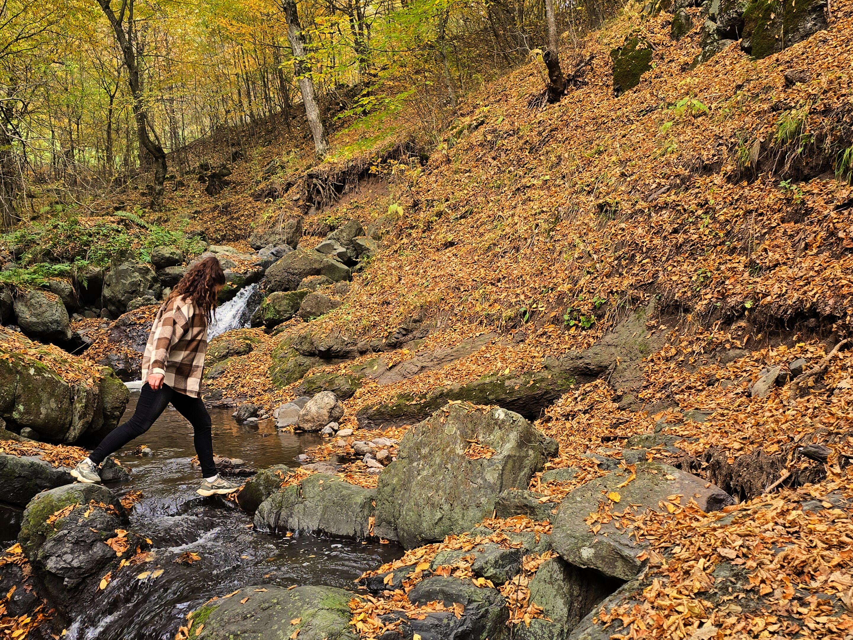 Una persona caminando sobre rocas junto a un arroyo en un bosque con hojas otoñales.