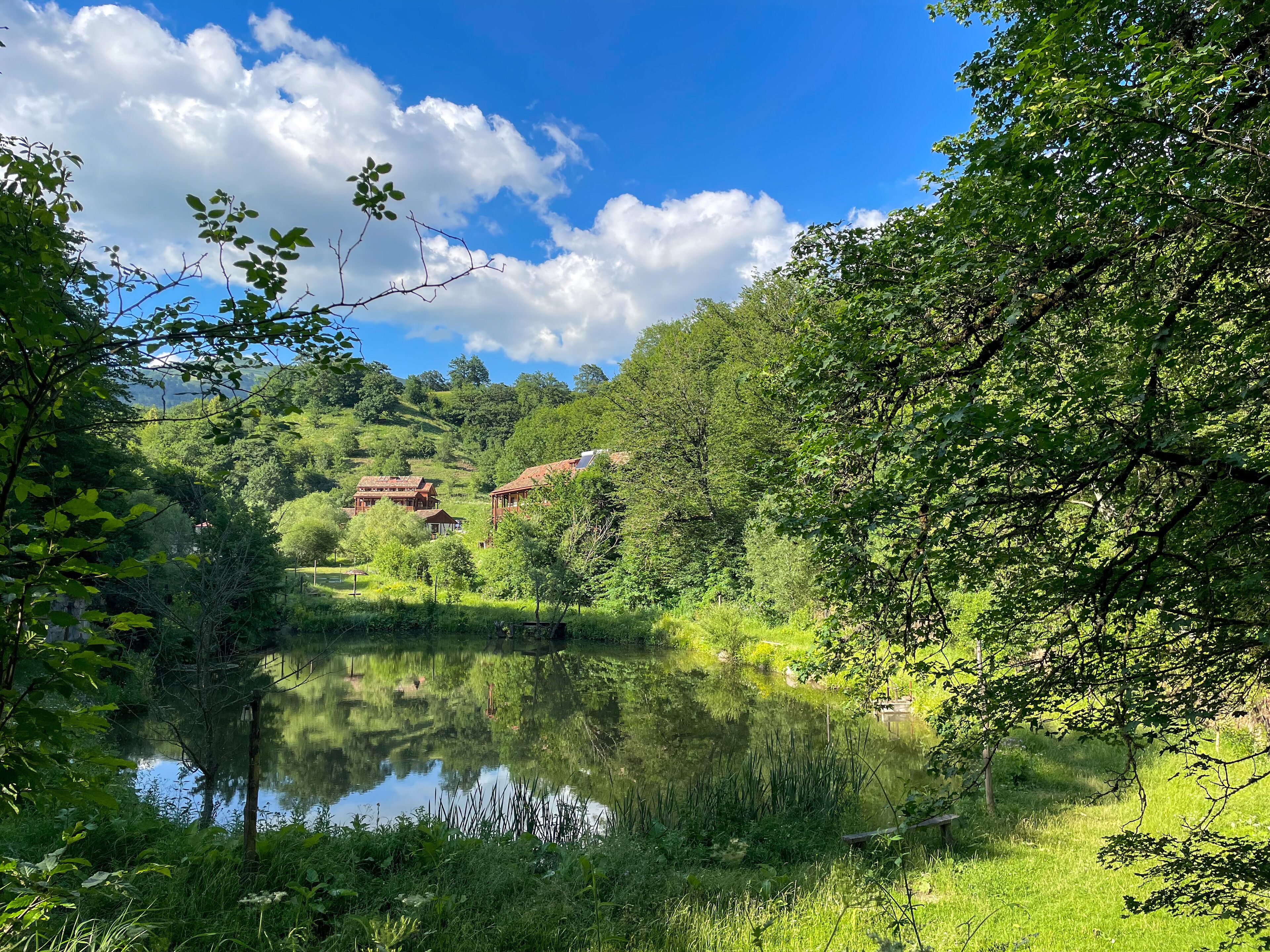 A serene lakeside setting with a clear sky, lush greenery, and traditional buildings in the background.