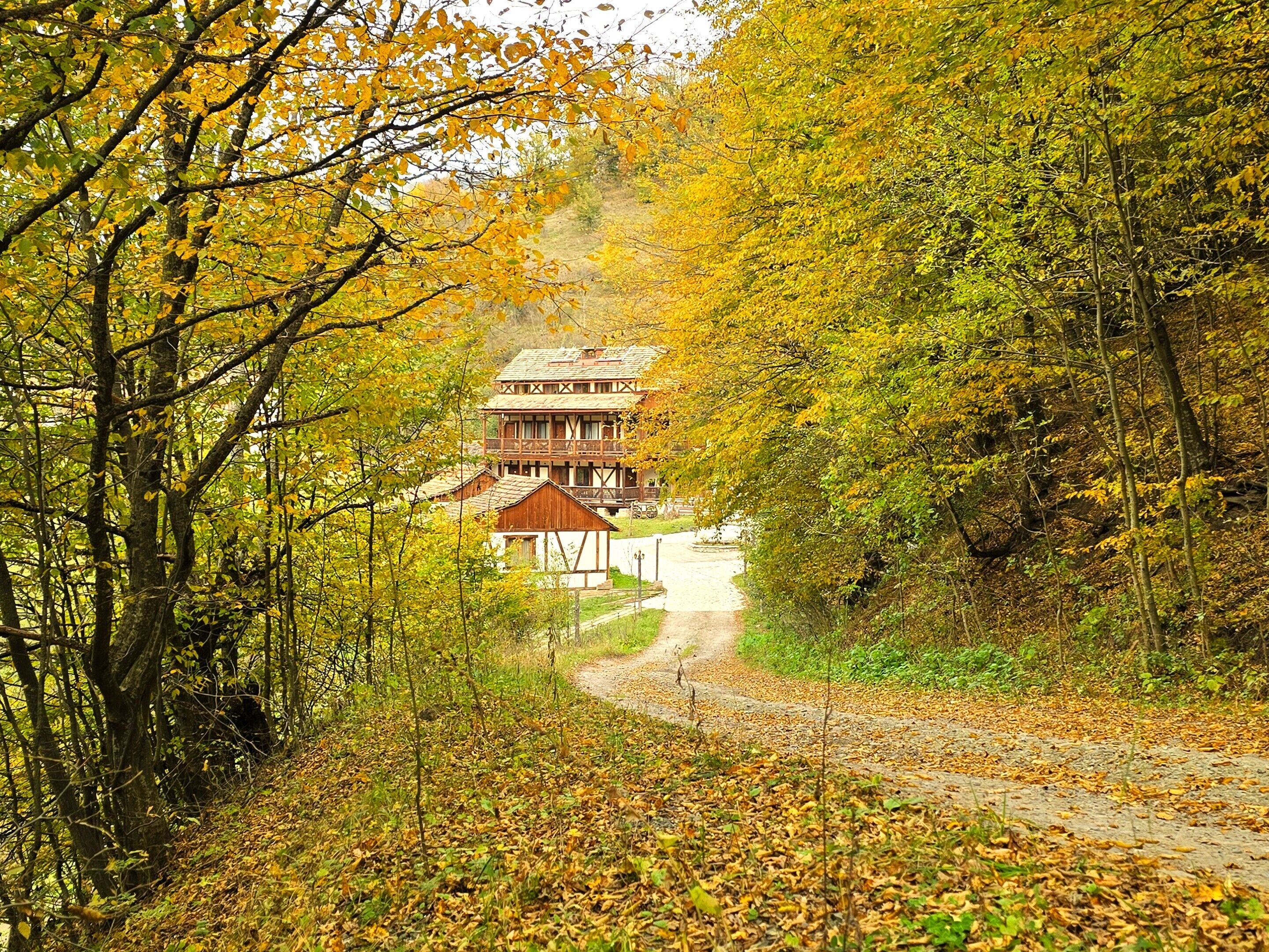 A traditional wooden house with a balcony, surrounded by a forested area with a dirt path leading to it.