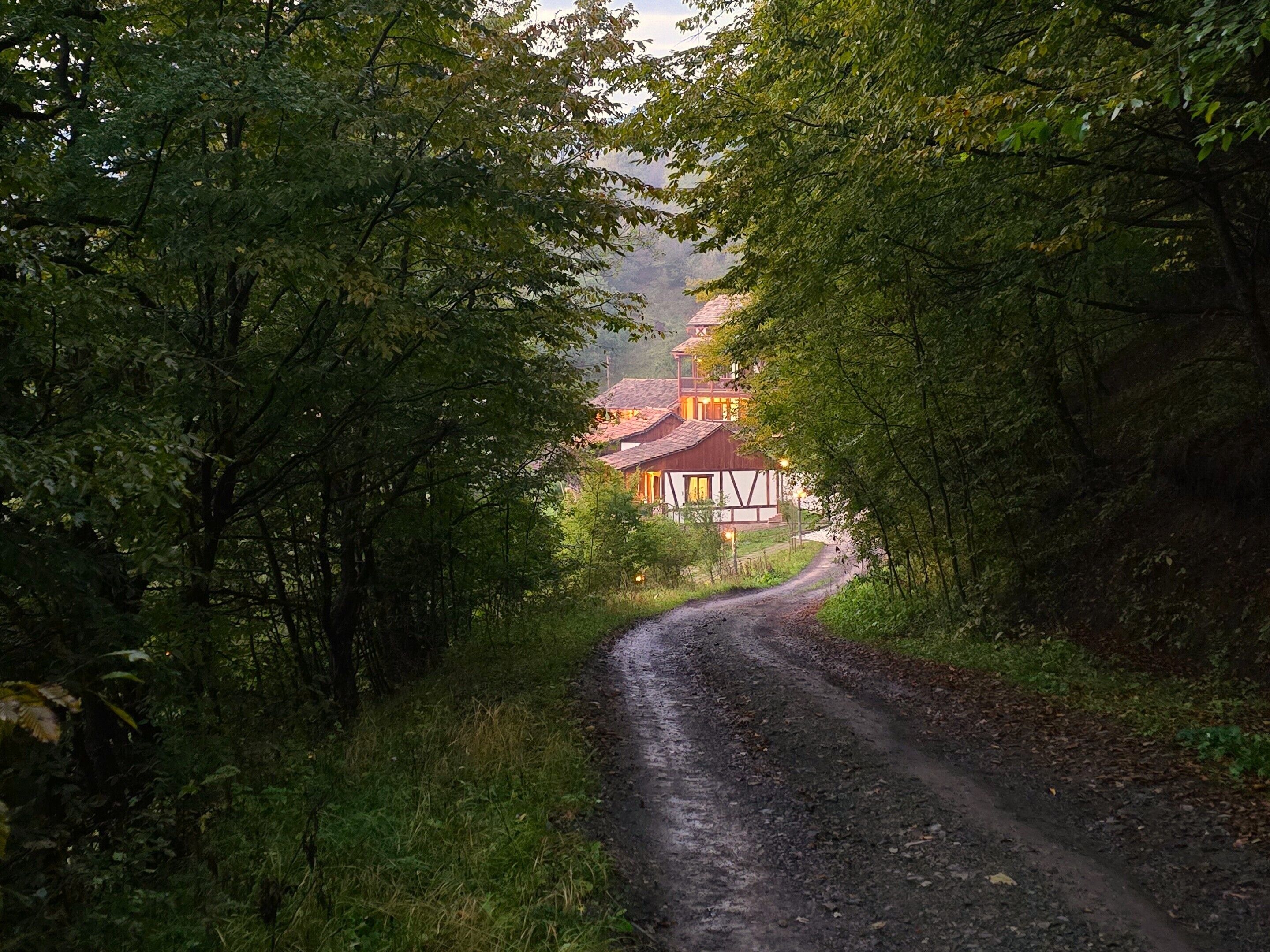 A rural road leading to a traditional house with a red roof, surrounded by dense greenery.