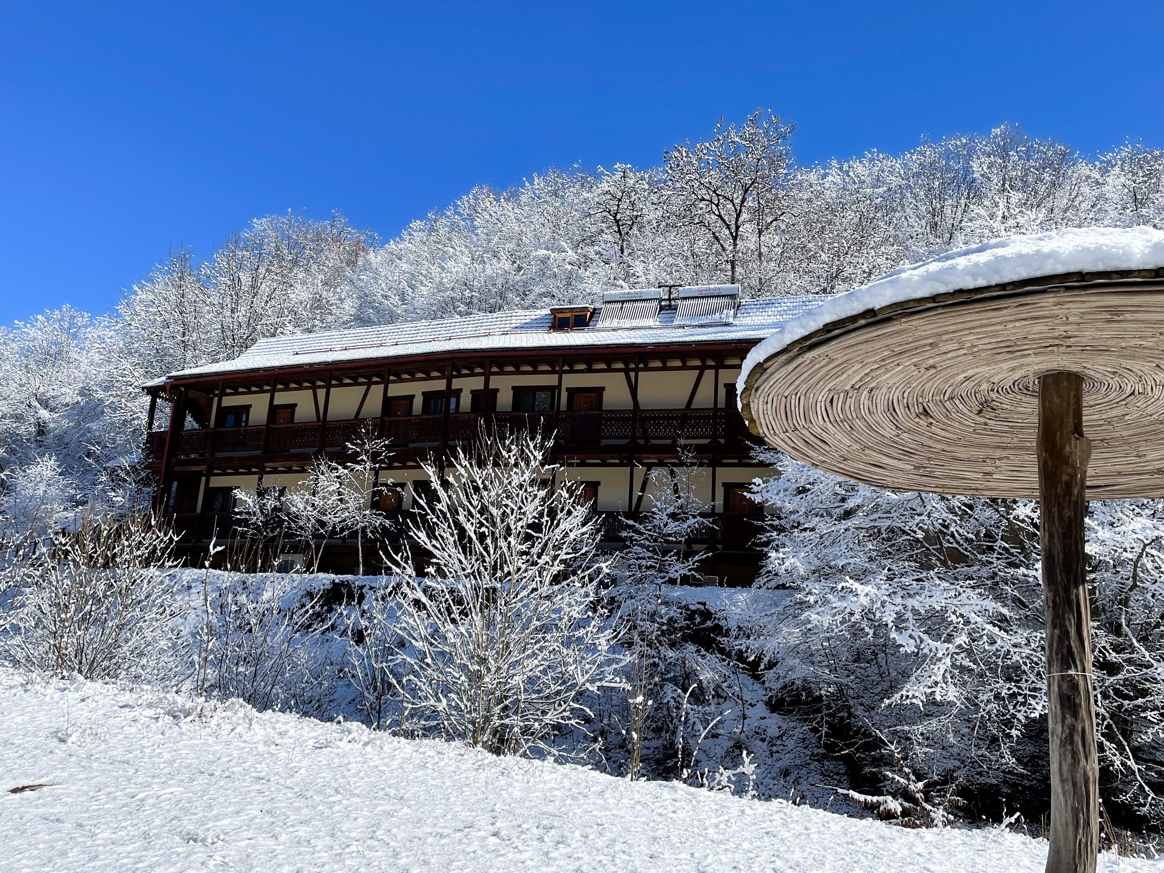 A traditional wooden chalet with a sloped roof, surrounded by snow-covered trees and a clear blue sky.