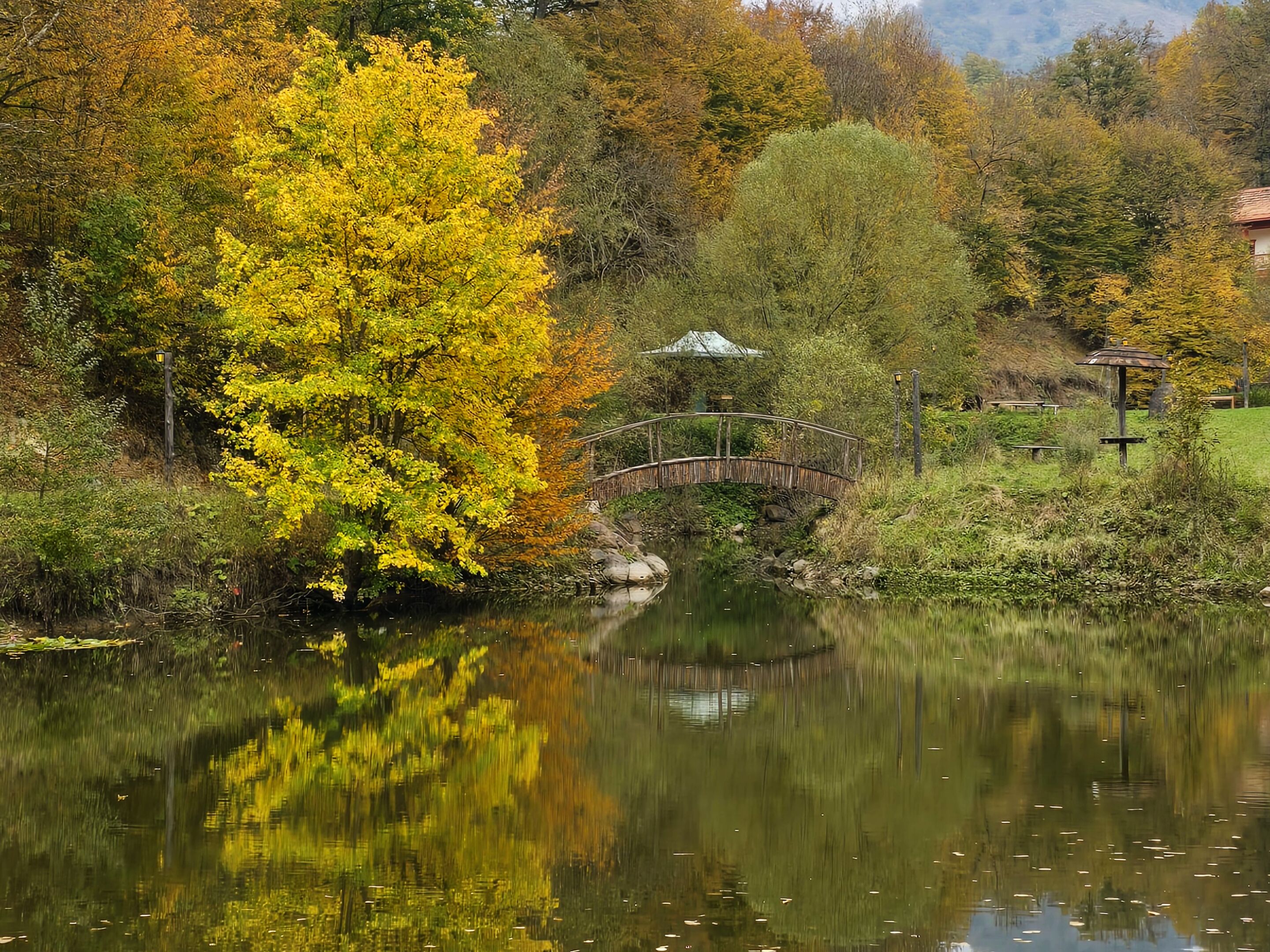A serene lakeside scene with a wooden bridge, lush greenery, and a gazebo.
