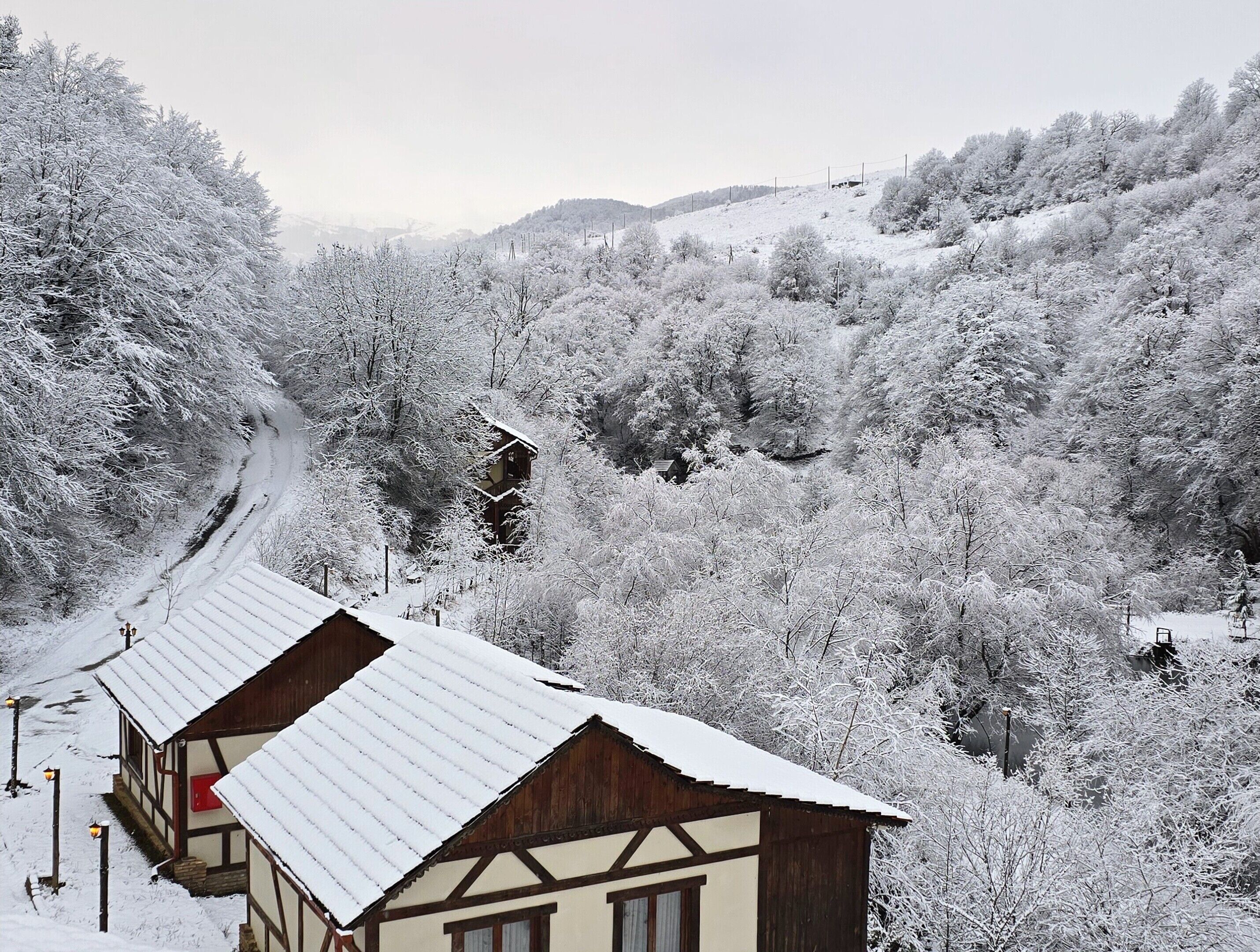 A traditional chalet with a sloped roof, surrounded by snow-covered trees and a winding path.