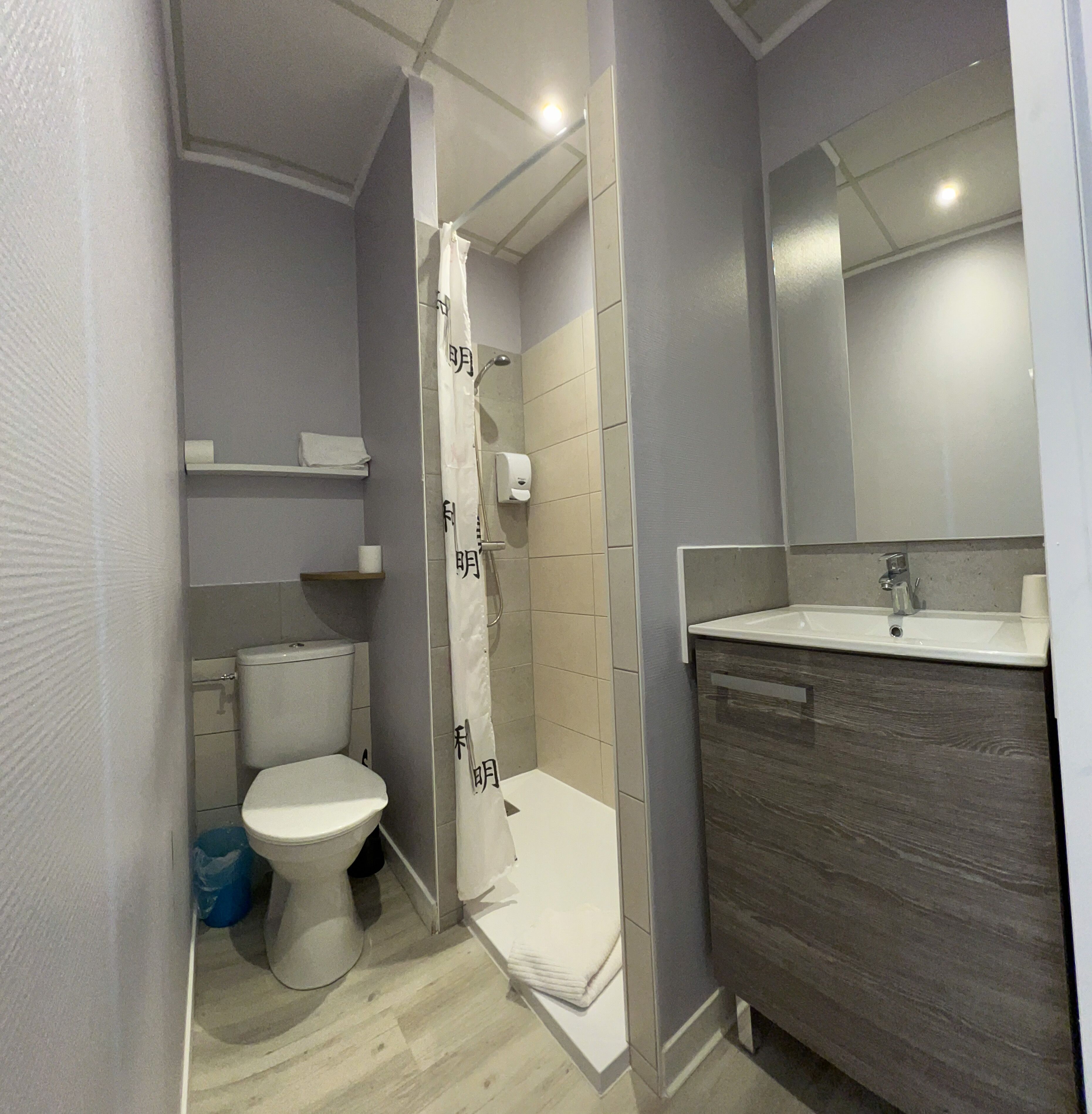 standard double room | bathroom | shower, towels
