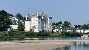 Un edificio parecido a un castillo, con un río al frente y un pueblo en el fondo.