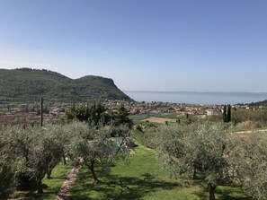 Un pueblo costero con vistas al mar, rodeado de olivares y una colina.