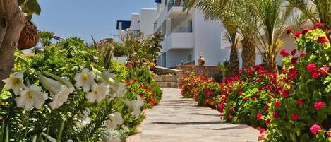 A stone pathway flanked by lush greenery and vibrant flowers leading to a modern building with balconies.