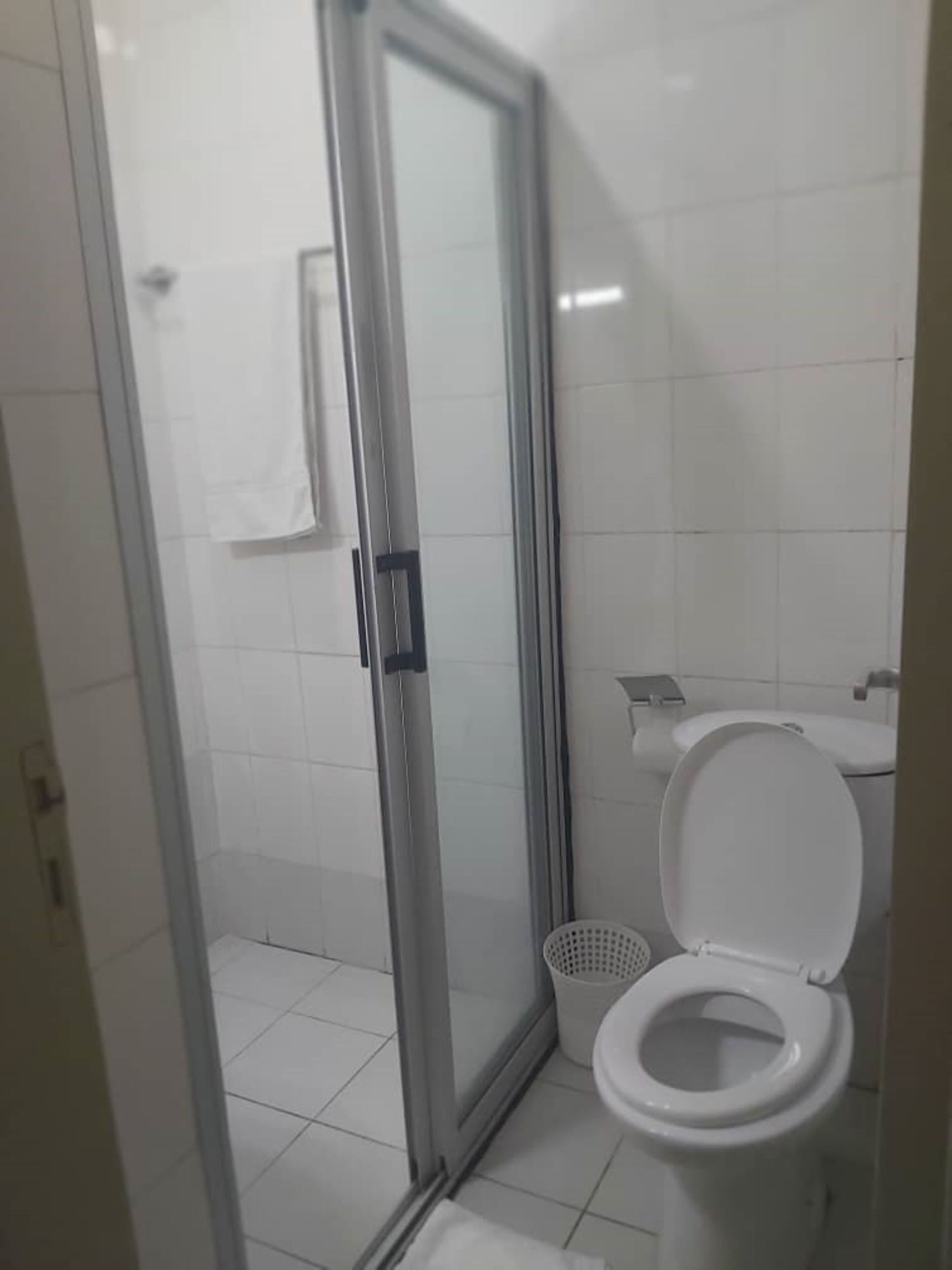 A bathroom with a glass shower enclosure, a toilet, and a white sink.