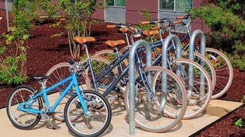 A row of bicycles parked at a bike rack outside a building with a brick facade and green window frames.