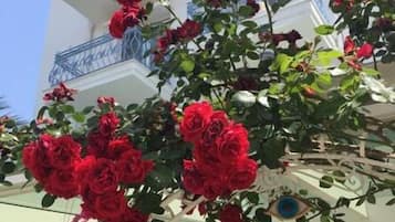 Fassade der Unterkunft