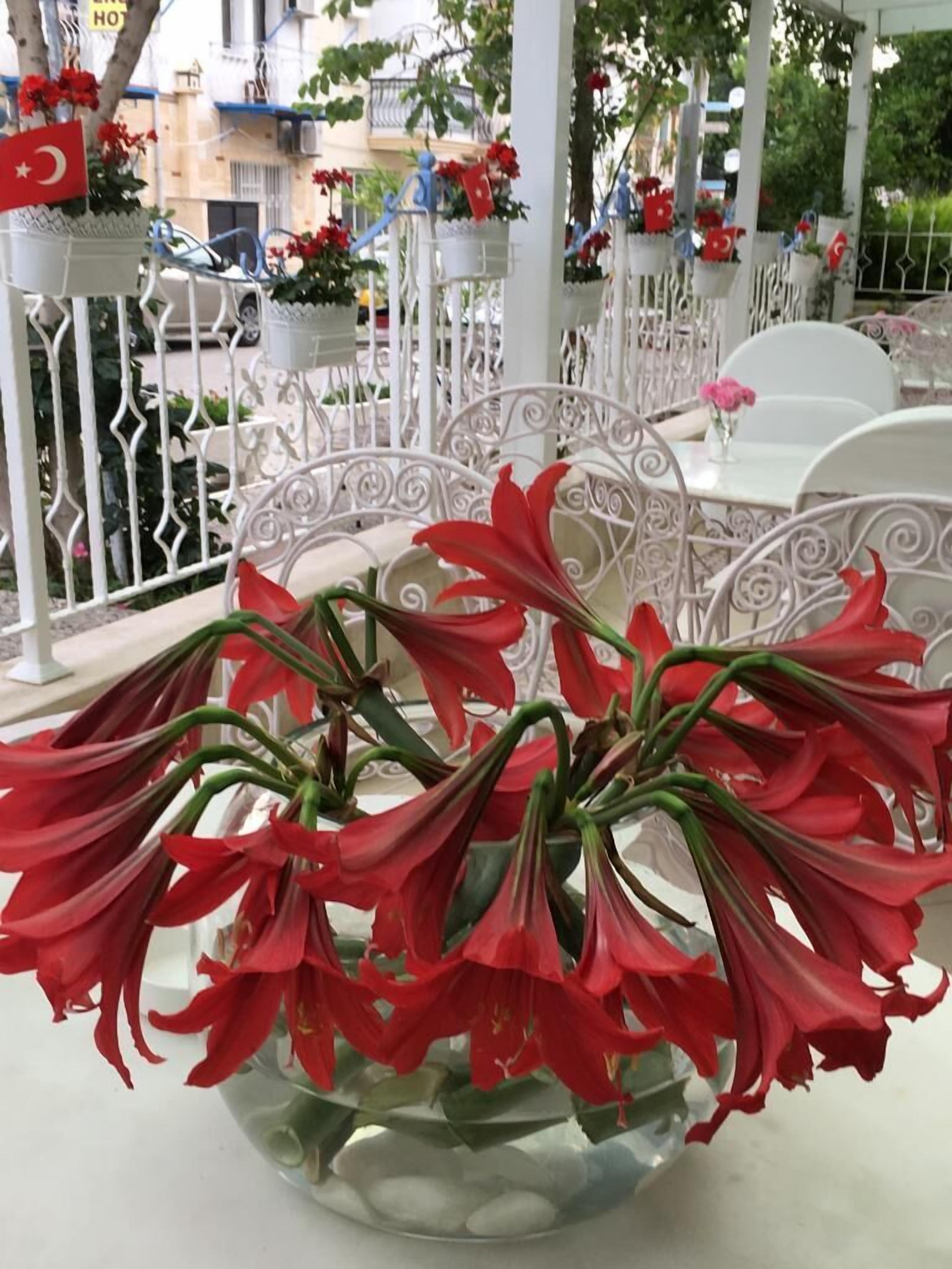 outdoor banquet area