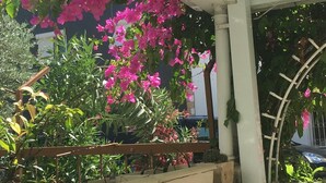 花园