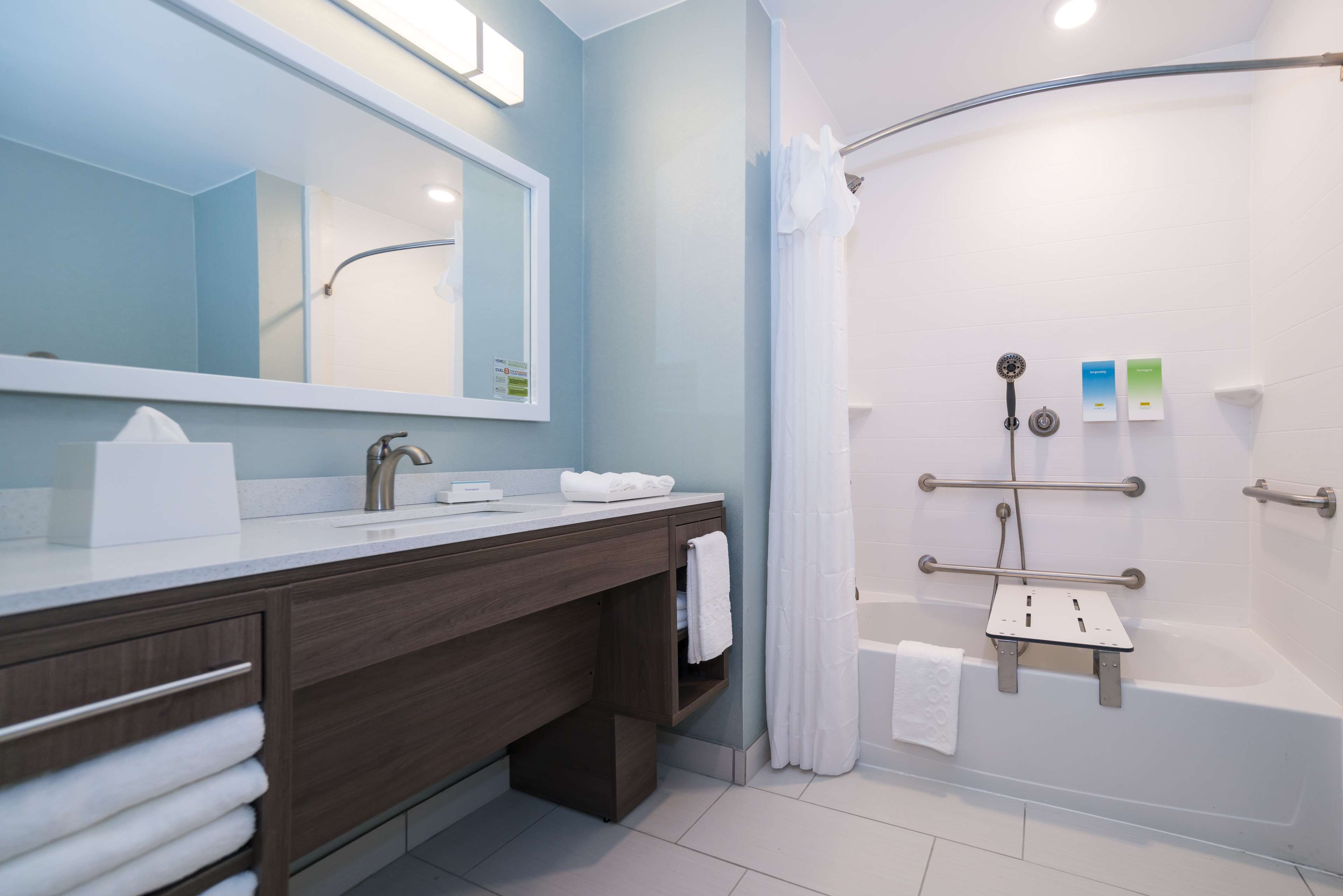 suite, 1 king bed, accessible, bathtub (mobility & hearing) | bathroom | hair dryer, towels