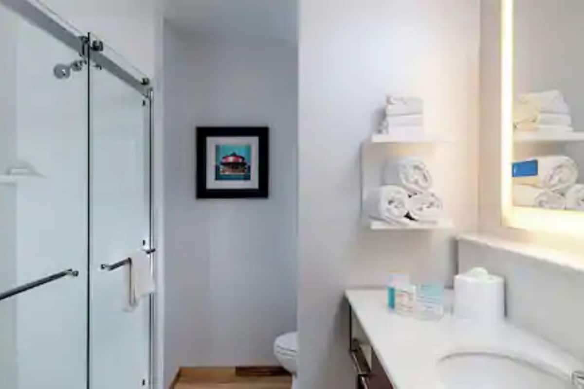hair dryer, towels, soap, shampoo