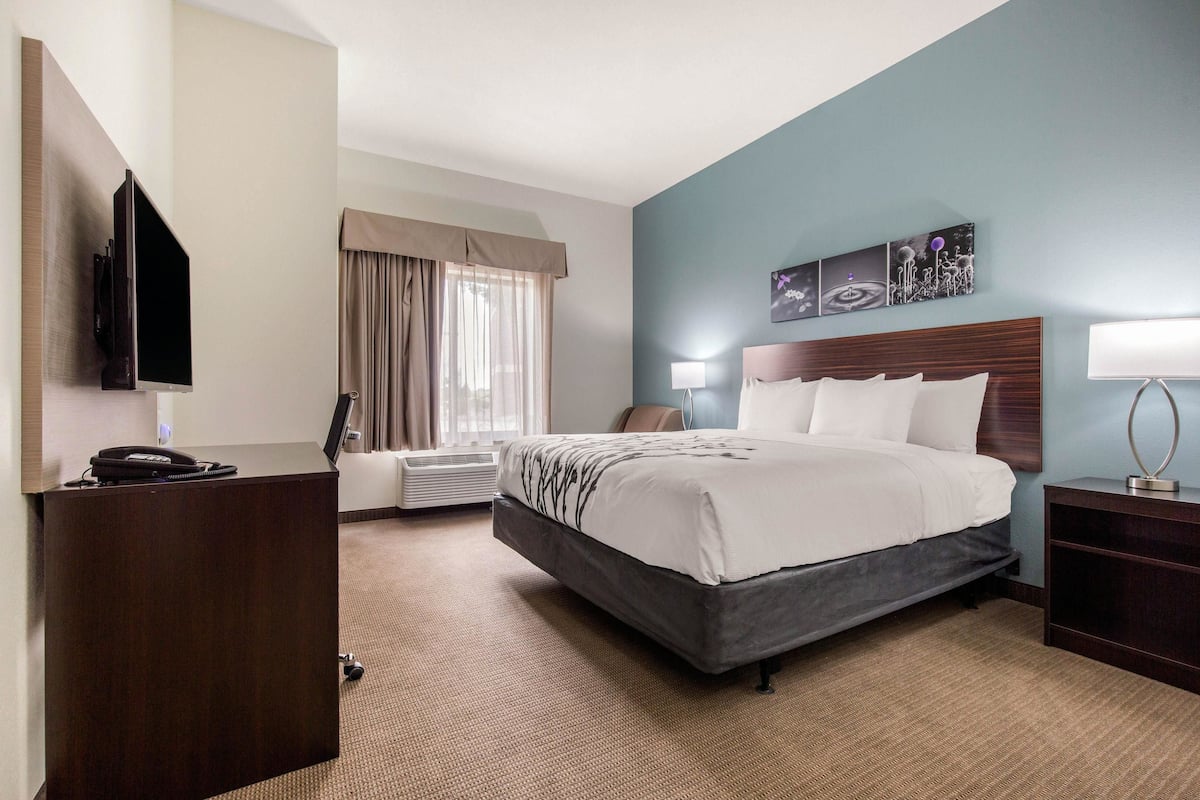 A hotel room with a bed, a desk, a TV, and a window with curtains.