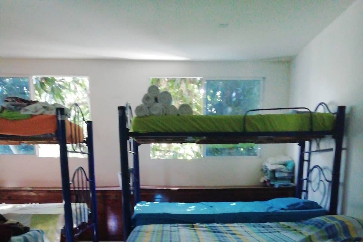 A dormitory room with bunk beds, a window with a view of greenery, and a desk with a chair.