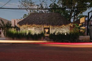 Front of property - evening/night