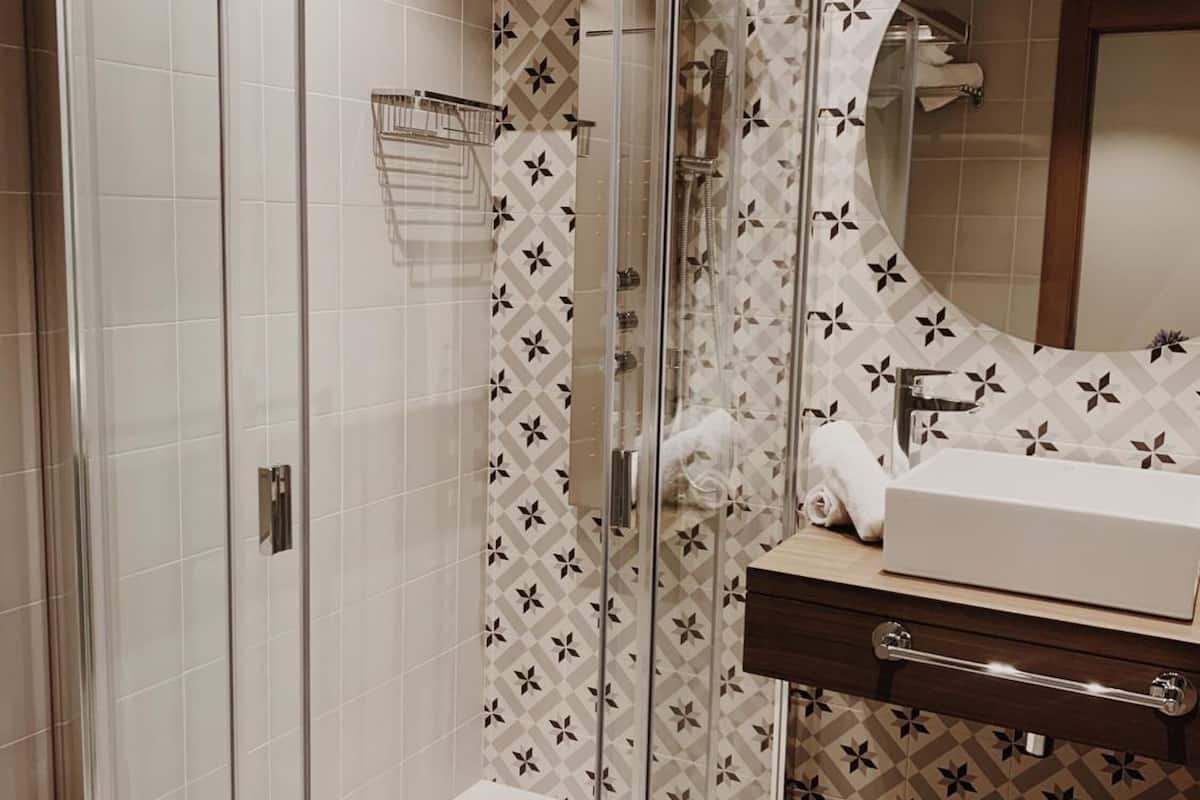 shower, free toiletries, hair dryer, towels