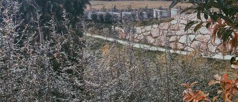 Un sendero de piedra que atraviesa un jardín con diversas plantas y árboles.