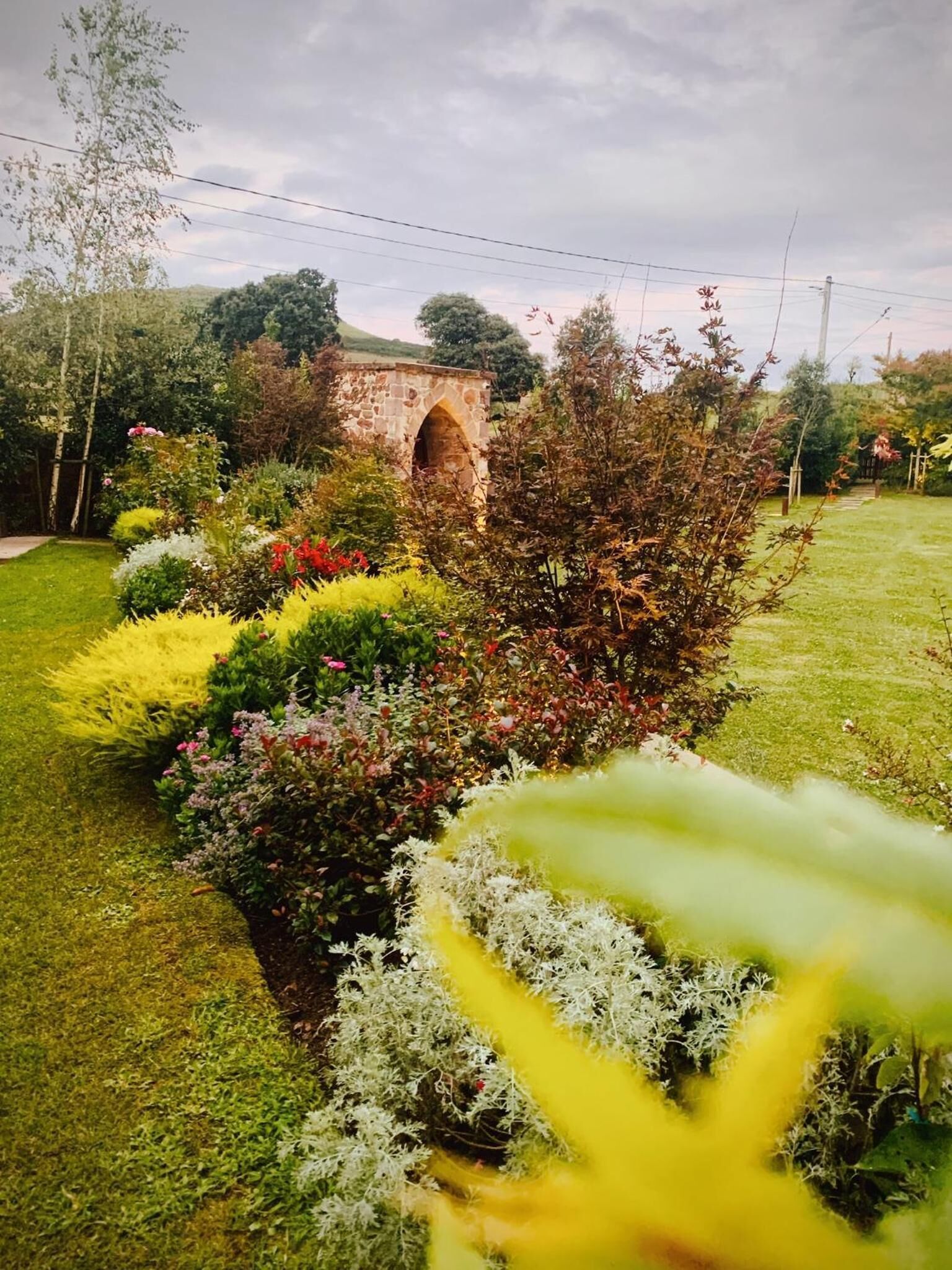 Un jardín con un puente de piedra, diversas plantas y un cielo despejado.