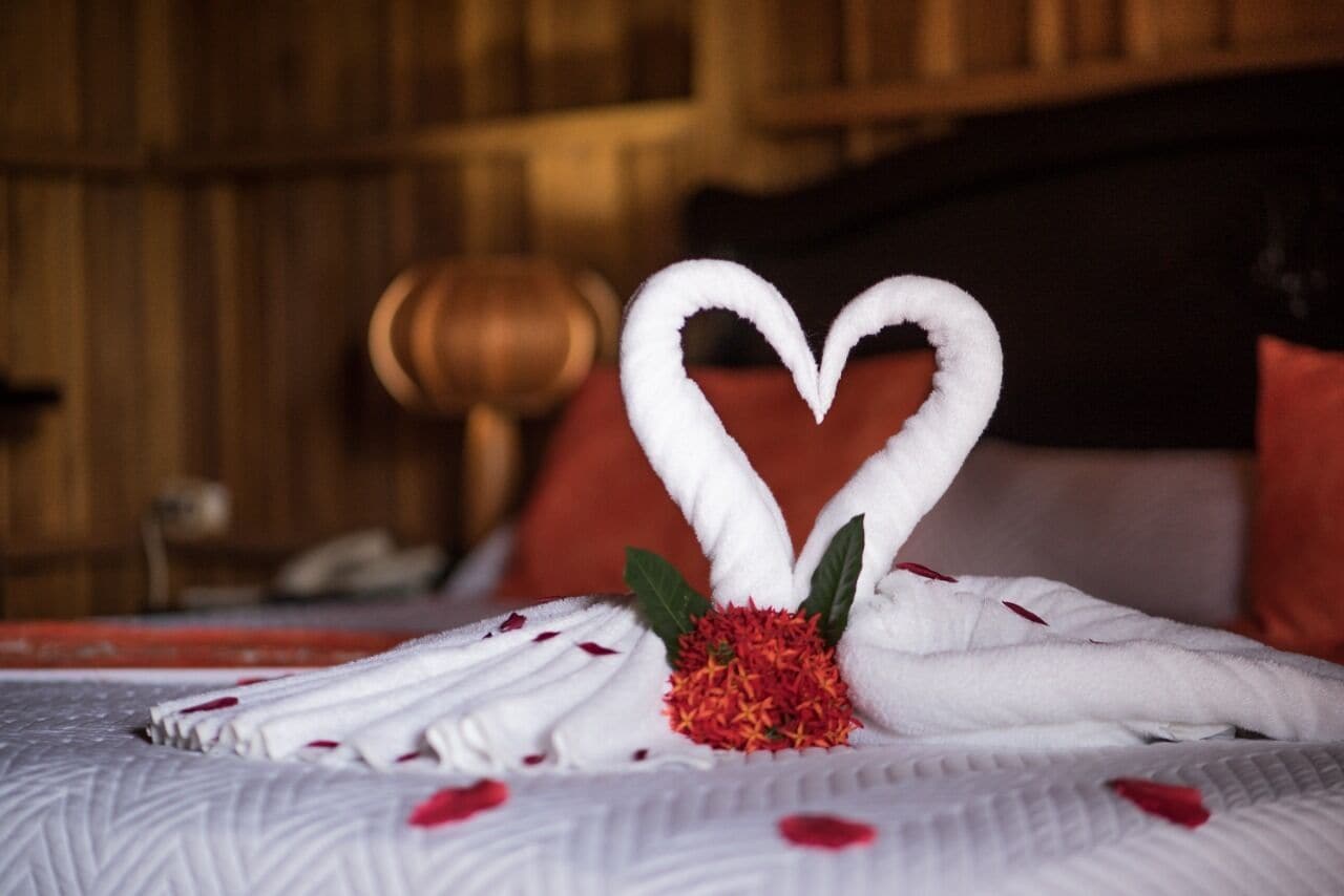 deluxe cabin, non smoking | hypo-allergenic bedding, in-room safe, desk, laptop workspace