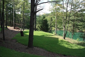 Stroll along the serene forest path leading to a peaceful body of water, surrounded by lush greenery.