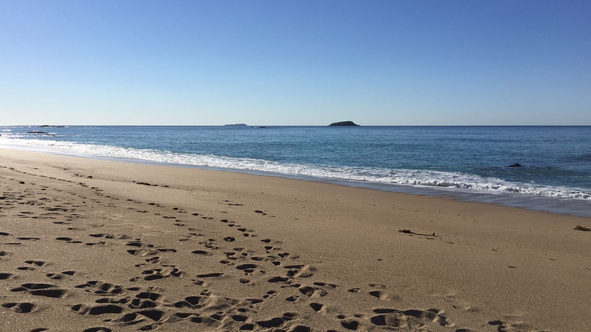 Plage, chaises longues
