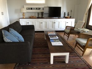 Smart TV, Netflix, books, streaming services