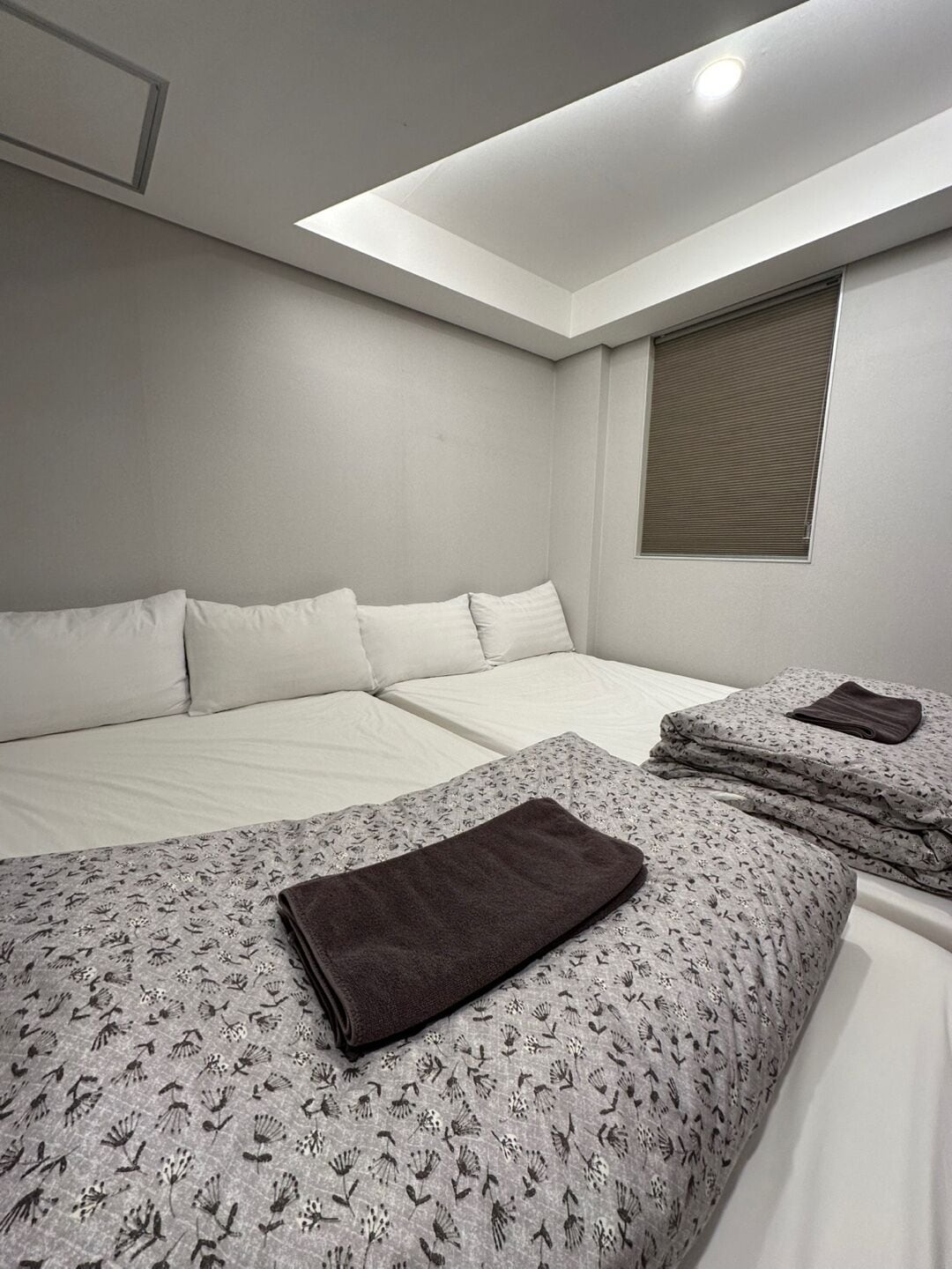 A hotel room with a bed, a smaller bed or sofa, a window with blinds, and a skylight.