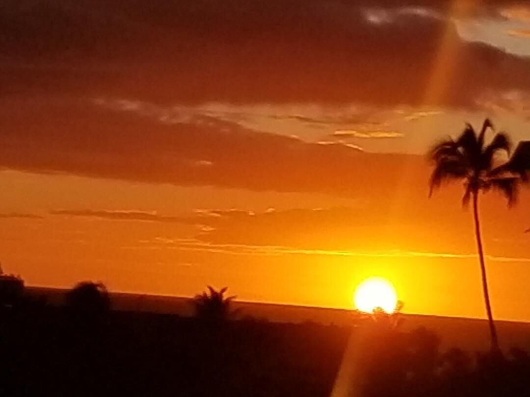 Hale Kamaole 133 Ground floor condo, easy access to best beach on Maui! - Photo 23