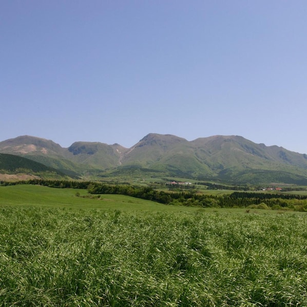A grassy field with a mountain range in the background.