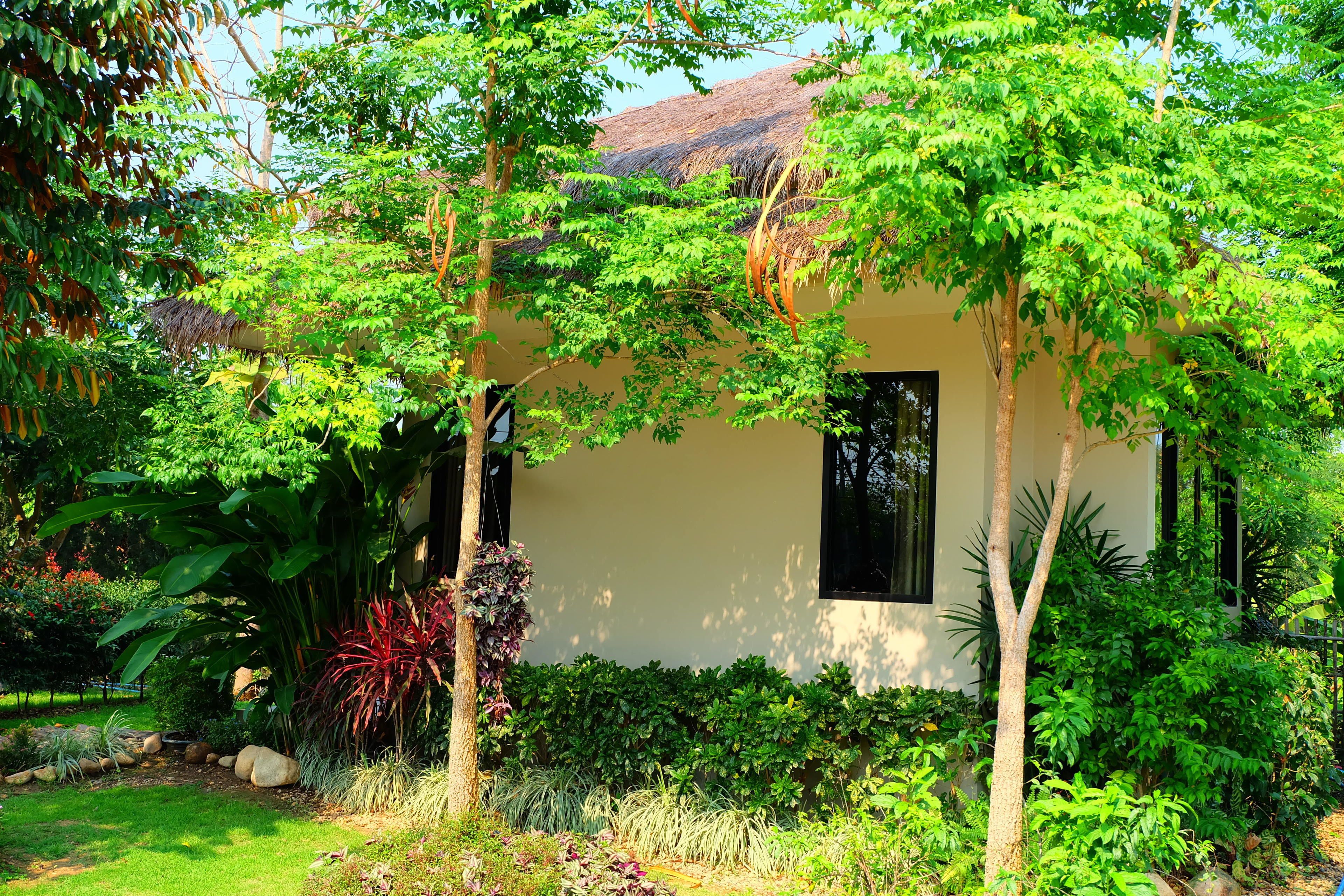 A house surrounded by lush greenery, with a thatched roof and a well-maintained garden.