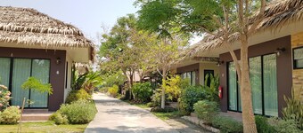 Papa's Home and Rabbit cafe