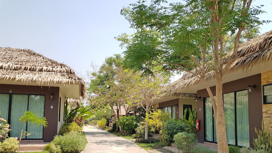 Papa's Home and Rabbit cafe