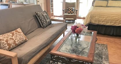 Sunny studio apartment close to downtown