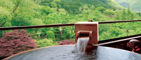 Traditionele kamer, niet-roken (Japanese Style Twin Hot Spring 316) | Een minibar, een kluis op de kamer, een bureau, gratis wifi