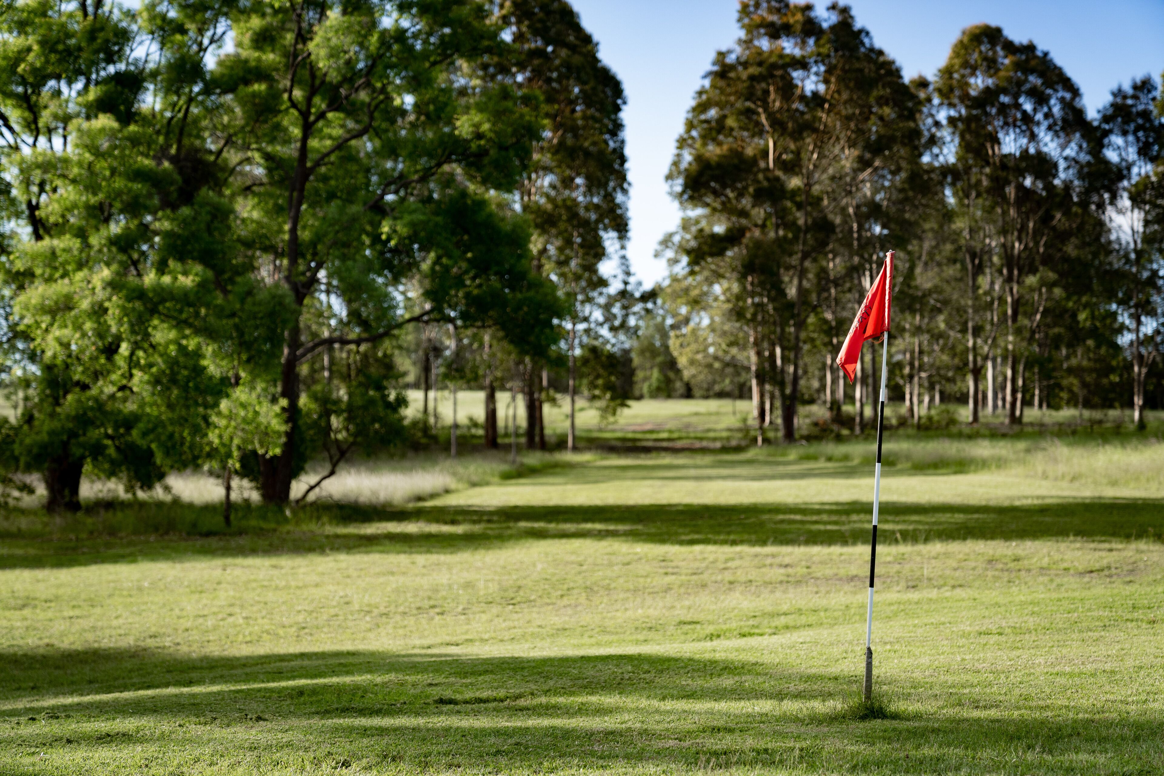 A golf course with a flag on a flagpole, surrounded by trees.