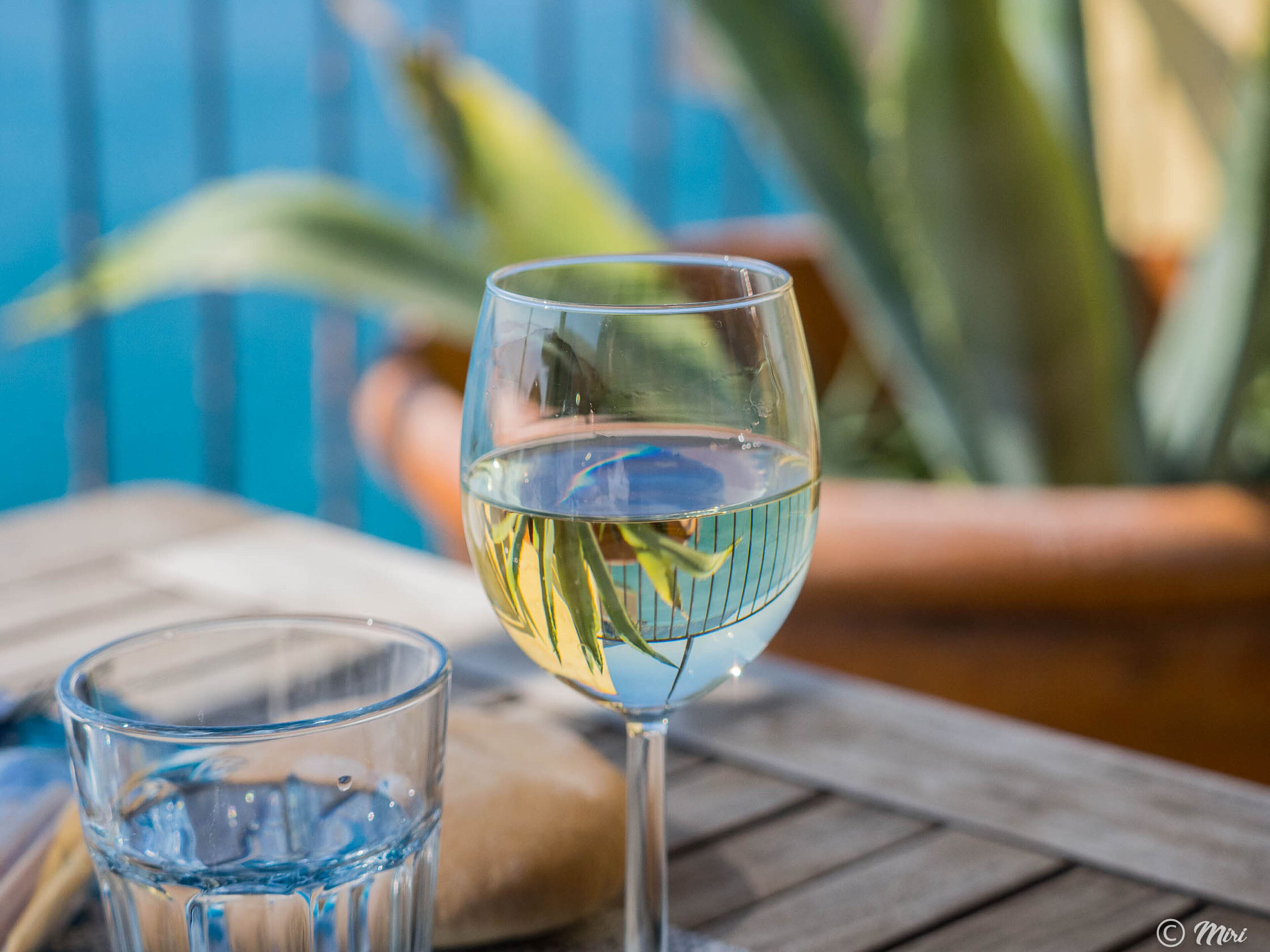 A glass of water on a wooden table with a blurred background of a blue wall and a potted plant.