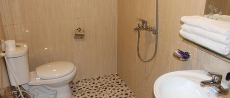 A bathroom with a toilet, shower, and sink.